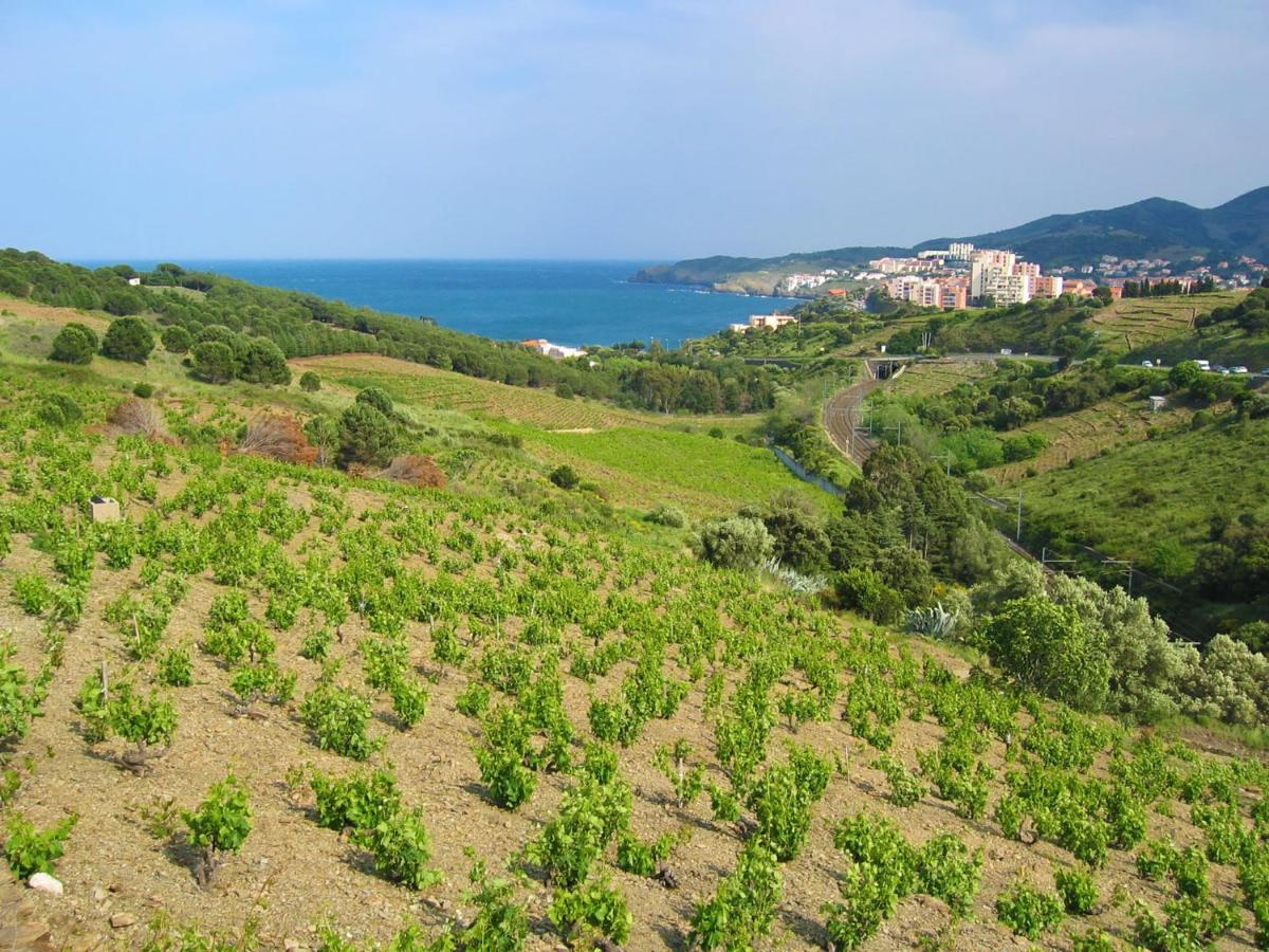 Apartment Thalacap By Interhome Banyuls-sur-Mer Εξωτερικό φωτογραφία